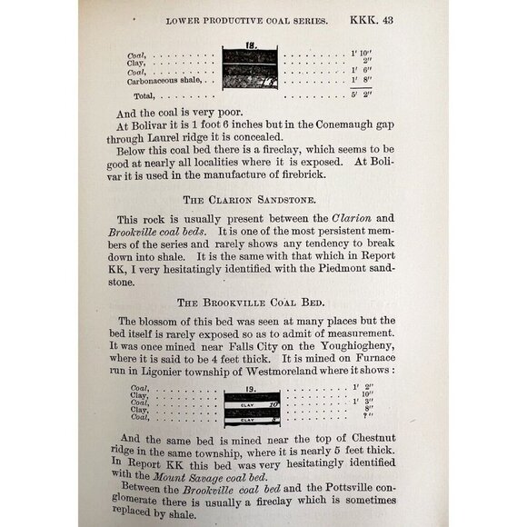 Geology Of Southwestern Pennsylvania Lot Of 2 1877-78 Victorian Coal WHBS - Picture 8 of 10